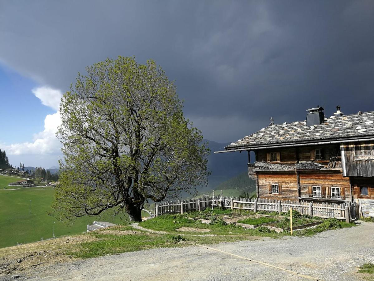 Appartements Alpenblick Soell Экстерьер фото
