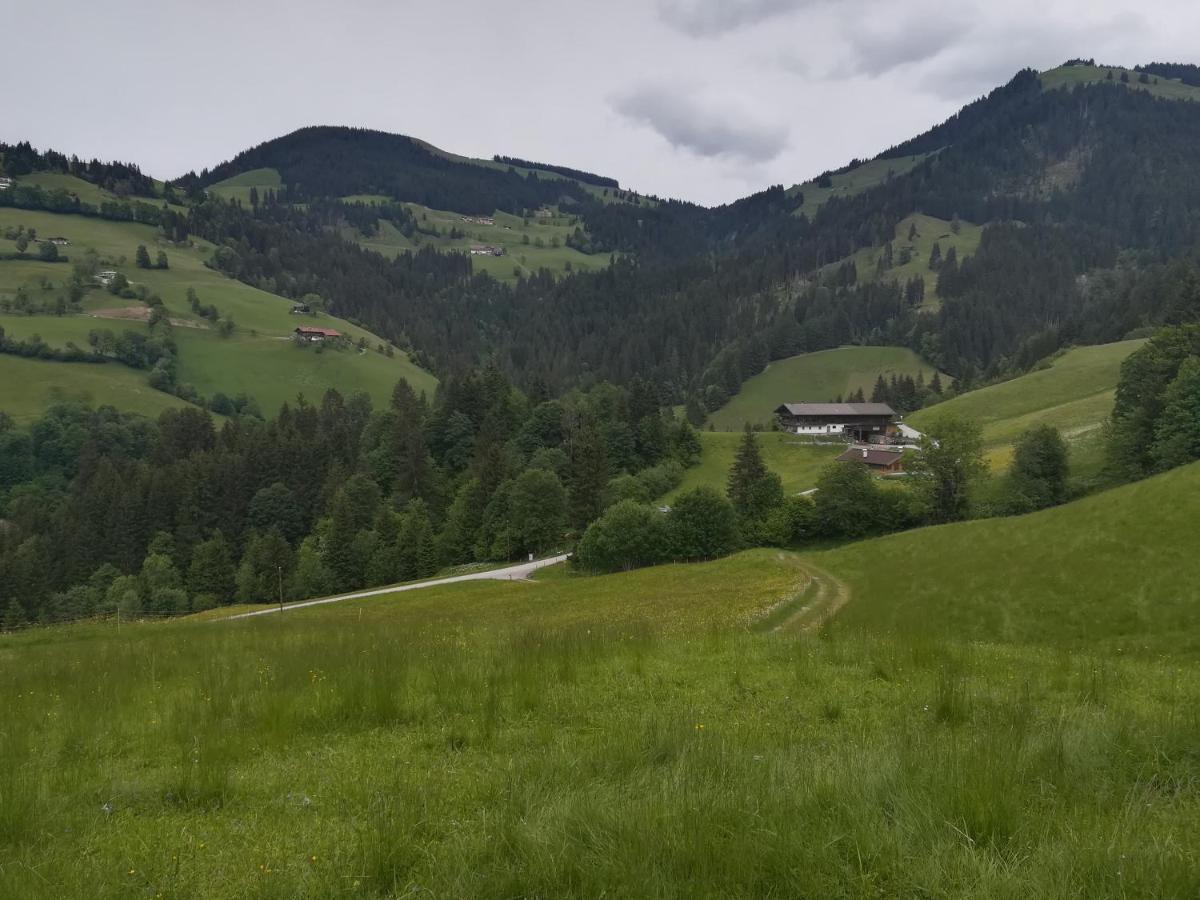 Appartements Alpenblick Soell Экстерьер фото