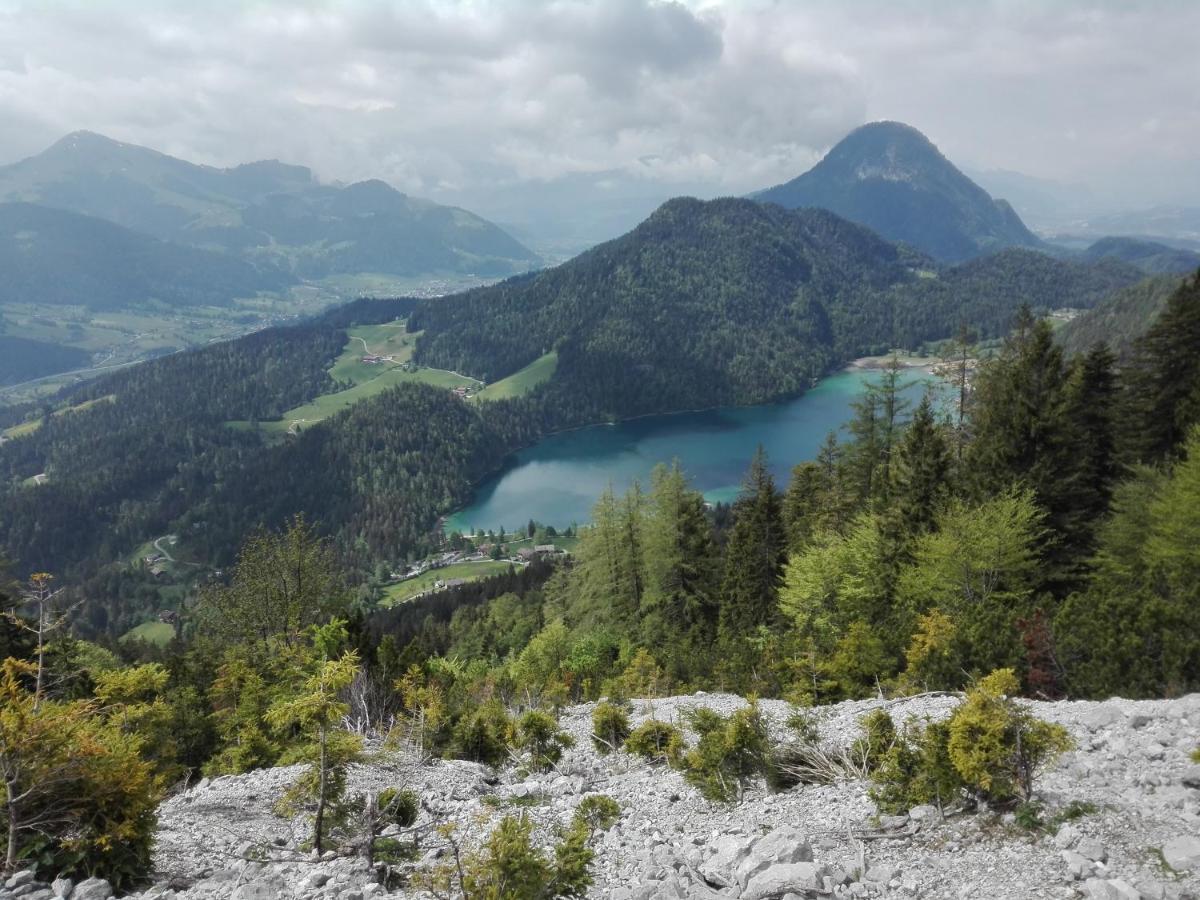 Appartements Alpenblick Soell Экстерьер фото